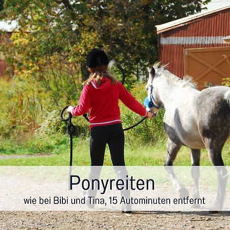 Natur-Chalet Zum Nationalpark Franz Inkl. E-Auto Allenbach المظهر الخارجي الصورة