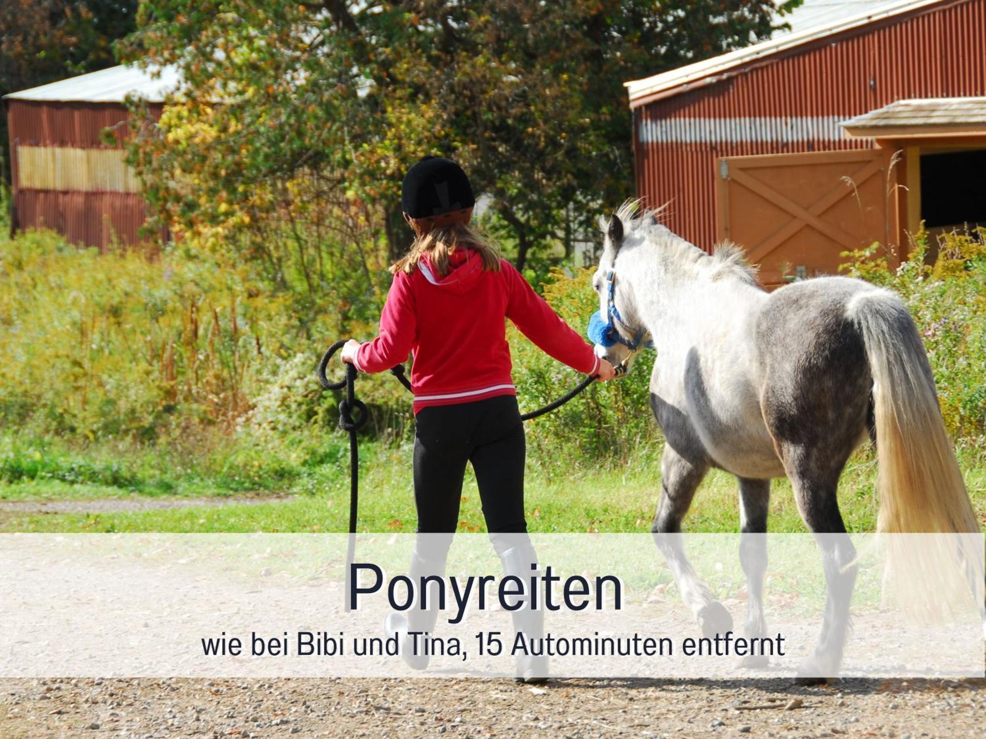 Natur-Chalet Zum Nationalpark Franz Inkl. E-Auto Allenbach المظهر الخارجي الصورة