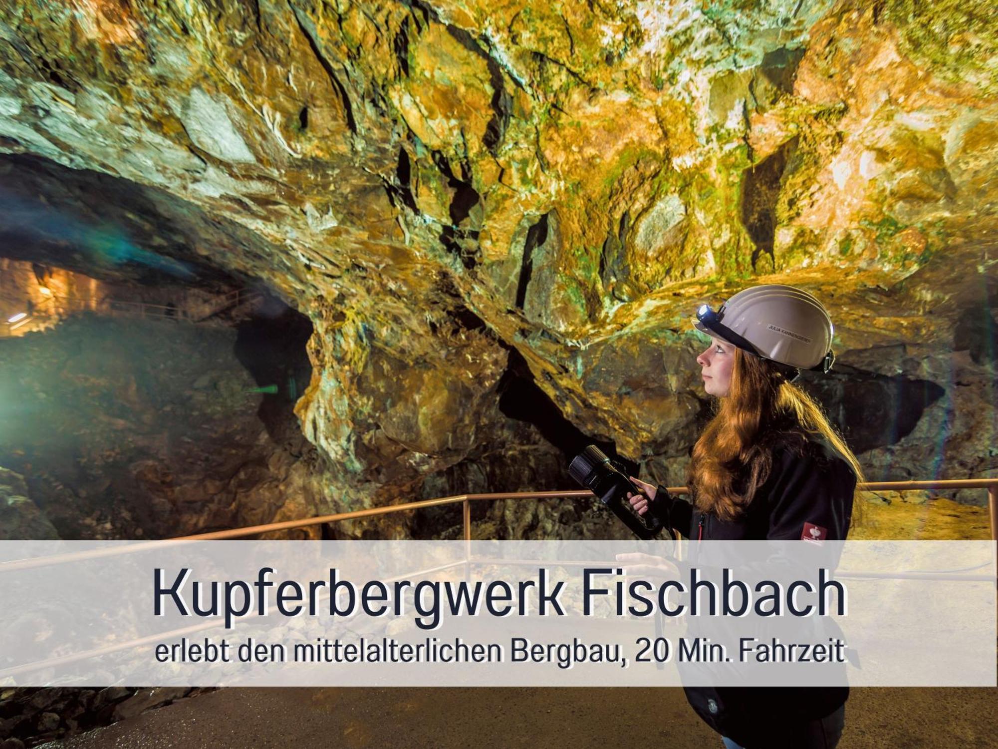 Natur-Chalet Zum Nationalpark Franz Inkl. E-Auto Allenbach المظهر الخارجي الصورة