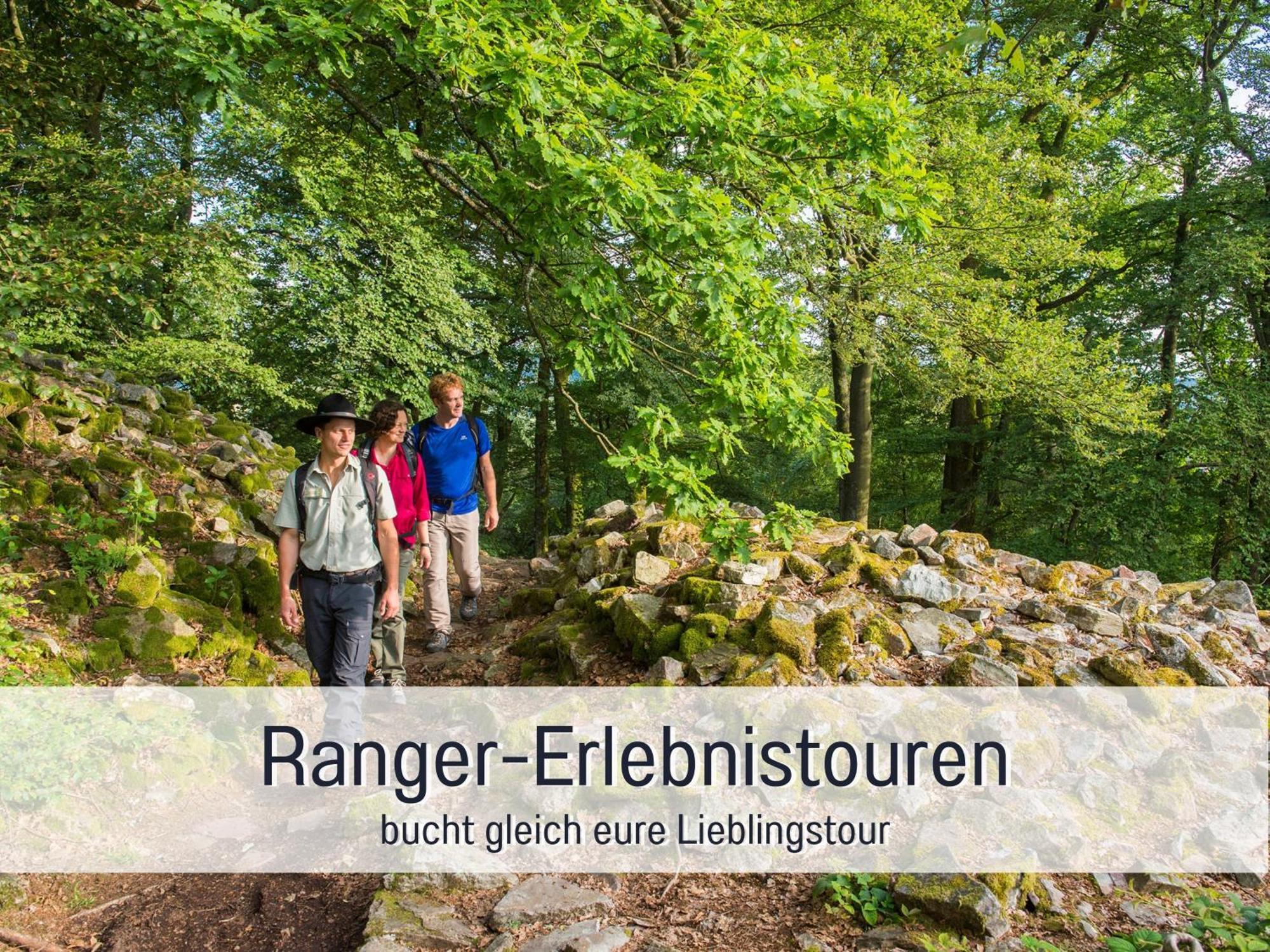 Natur-Chalet Zum Nationalpark Franz Inkl. E-Auto Allenbach المظهر الخارجي الصورة