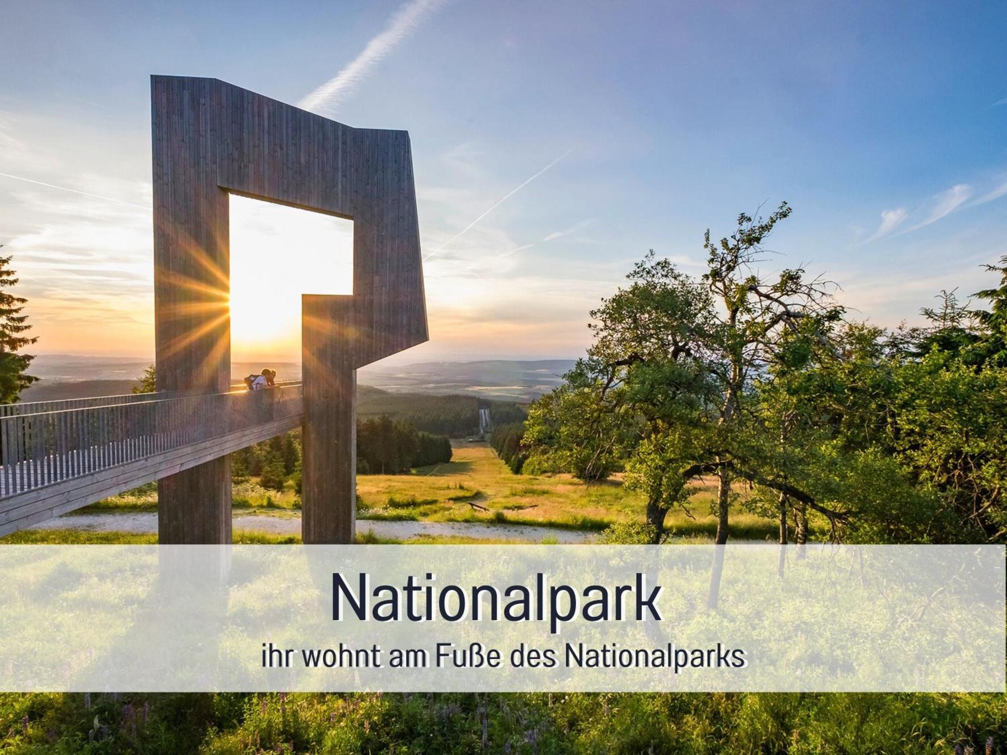 Natur-Chalet Zum Nationalpark Franz Inkl. E-Auto Allenbach المظهر الخارجي الصورة